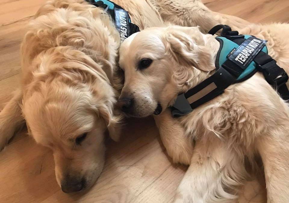 Pedagógus akkreditált tanfolyam