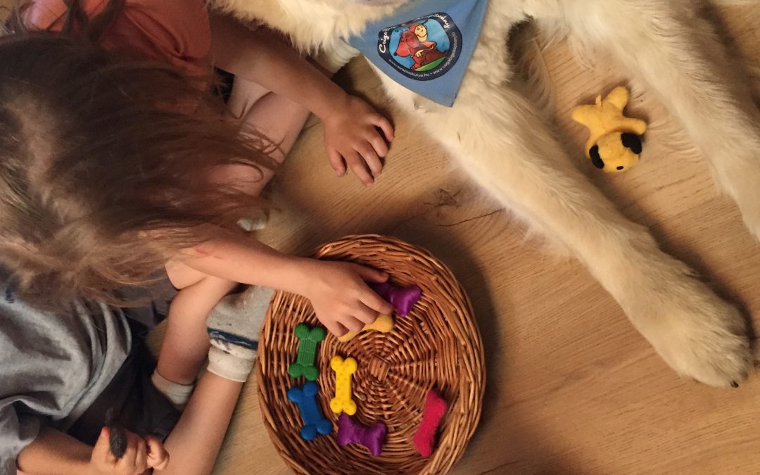 Tavaszi pedagógus akkreditált továbbképzés Budapest 2019