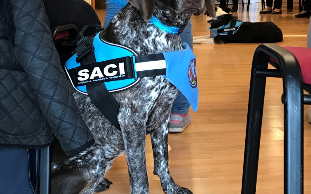 Tavaszi pedagógus akkreditált továbbképzés Szekszárd 2019