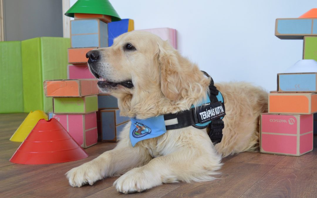 Kutyás Játszóházi programsorozat