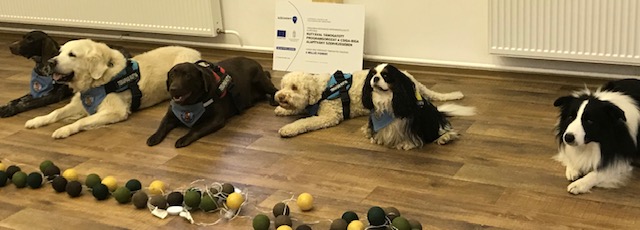 Kutyával támogatott programsorozat a Csiga-Biga Alapítvány szervezésében