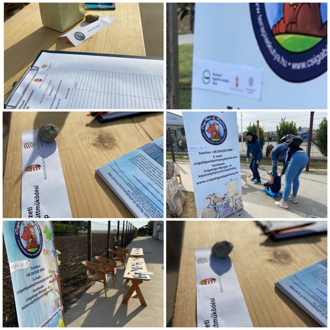 csigabigaalapitvany_fotok_2022-09-24