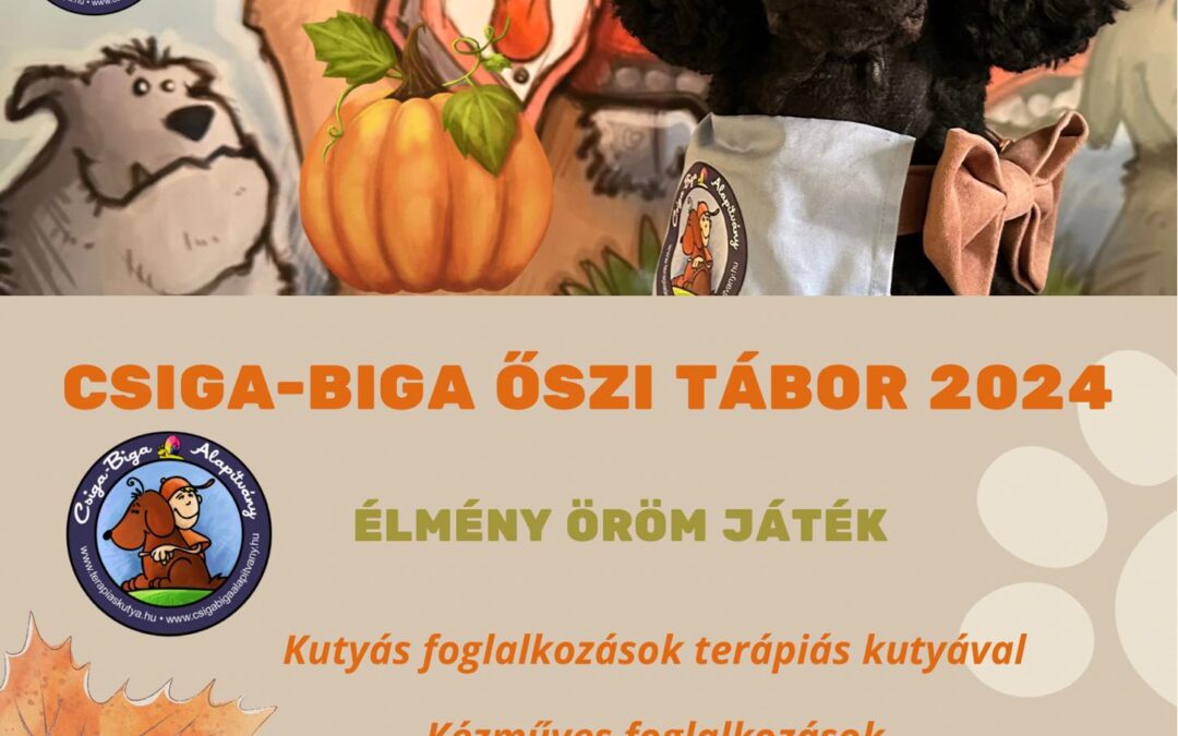 Őszi Tábor 2024