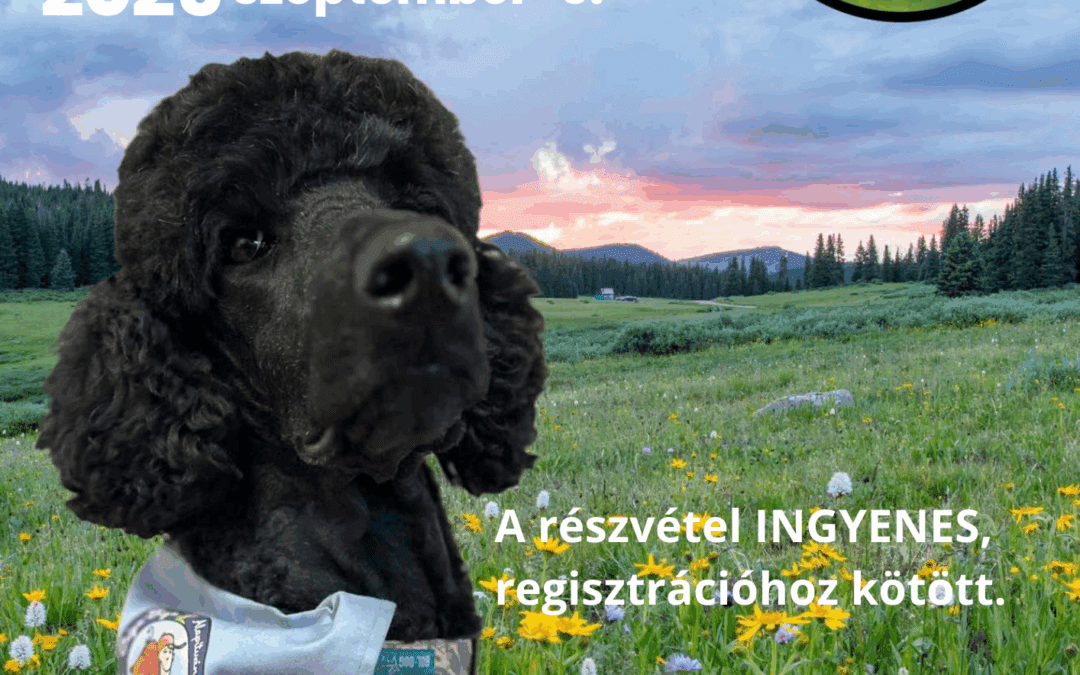 Közösségépítő programsorozat