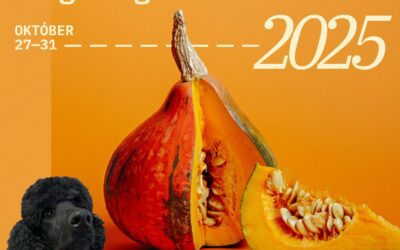Őszi tábor 2025